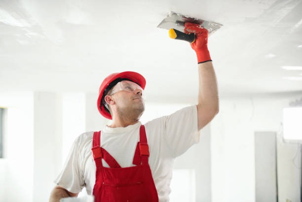 Best Mold Removal for HVAC Installations  in Mccleary, WA