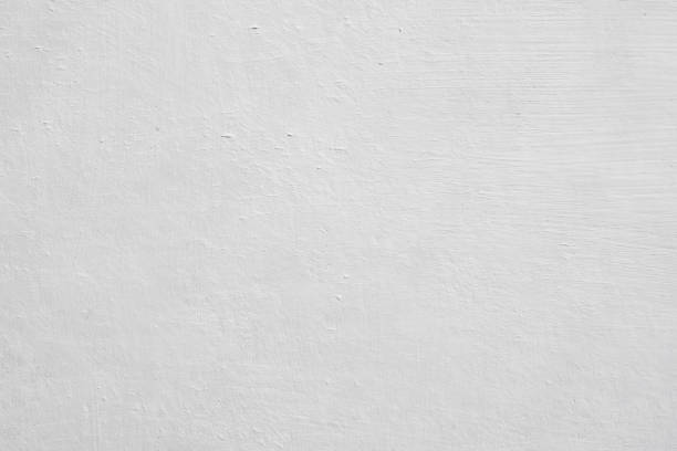 Trusted Mccleary, WA Mold Removal Experts