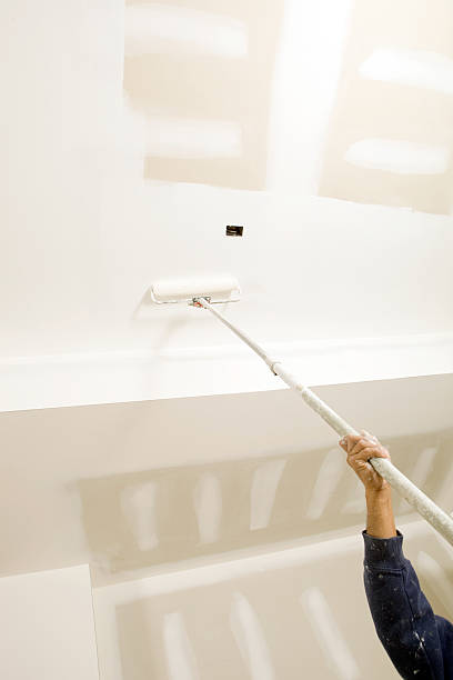 Best Attic Mold Removal  in Mccleary, WA